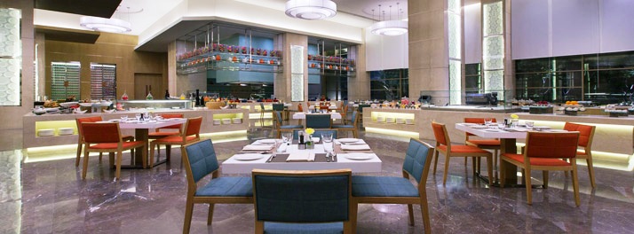 533/The Westin Chennai Velachery - Chennai 09.jpg